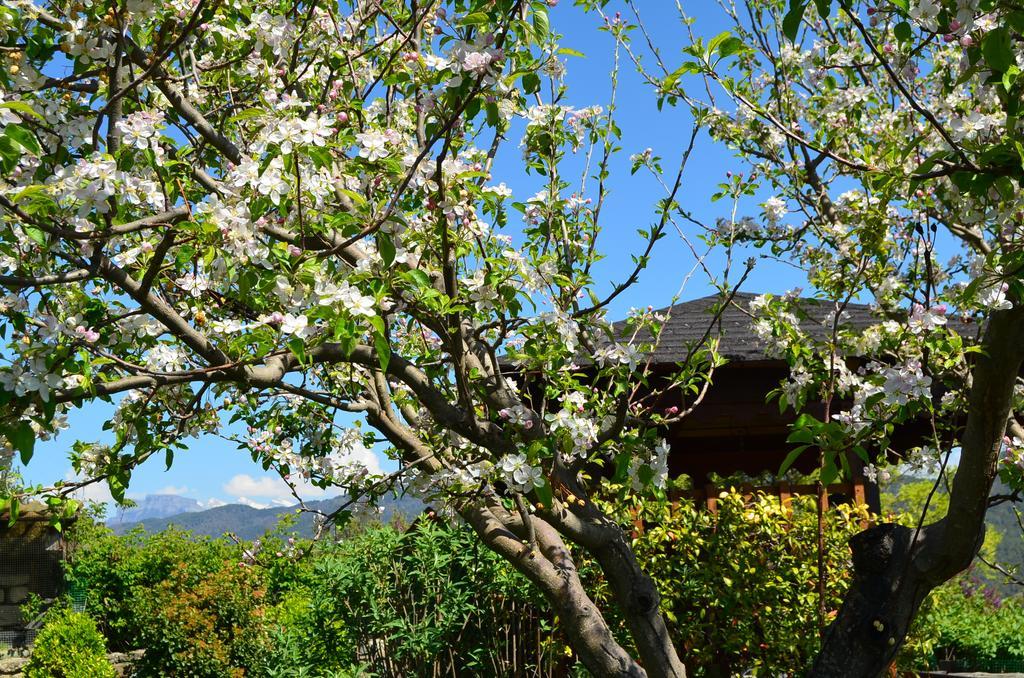 Casa Rural La Era Sieste Exterior photo